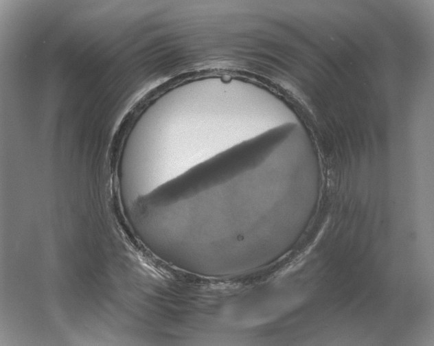 X0000063461117200602101707