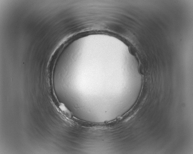 X0000063461118200602101707