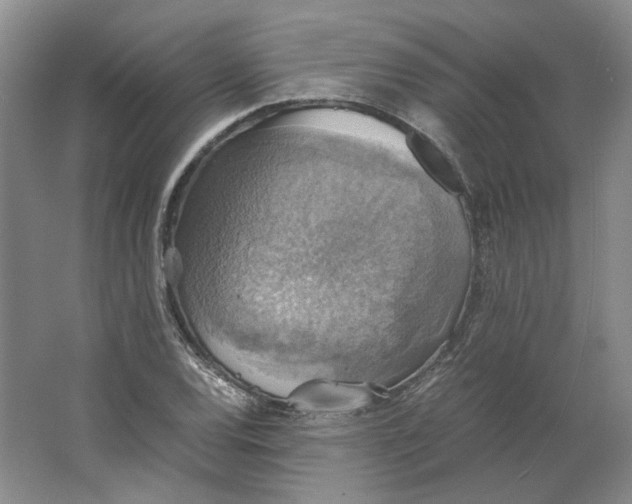 X0000063461120200602101707