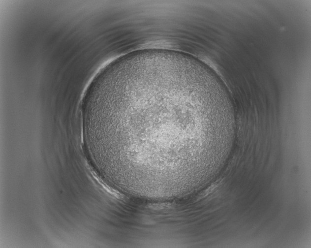 X0000063461123200602101707