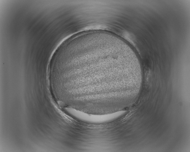 X0000063461124200602101707