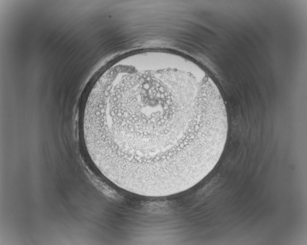 X0000063461126200602101707