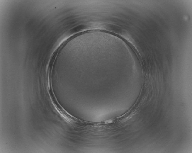 X0000063461127200602101707