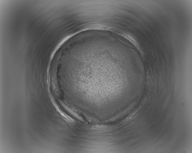 X0000063461128200602101707