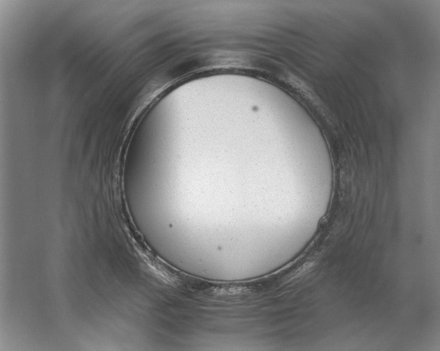 X0000063461129200602101707