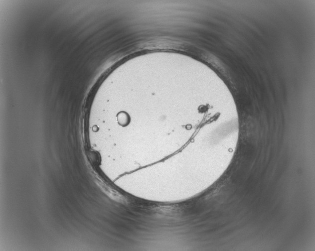 X0000063461130200602101707