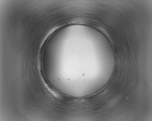 X0000063461131200602101707