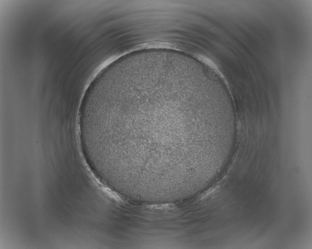 X0000063461133200602101707