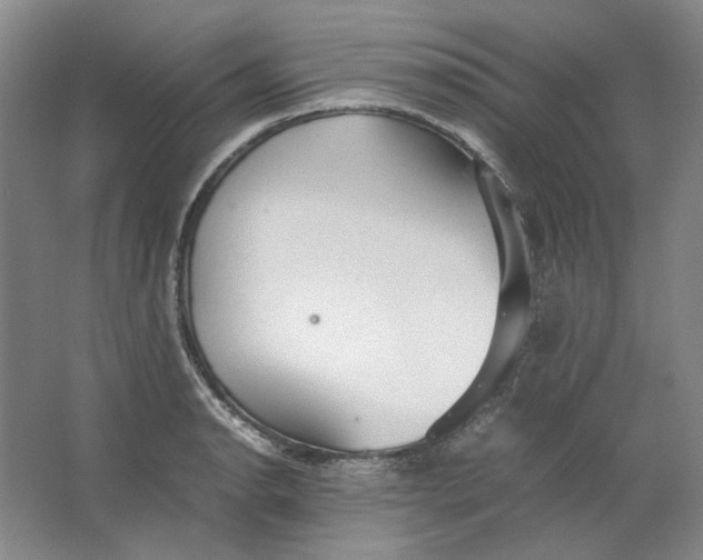 X0000063461134200602101707