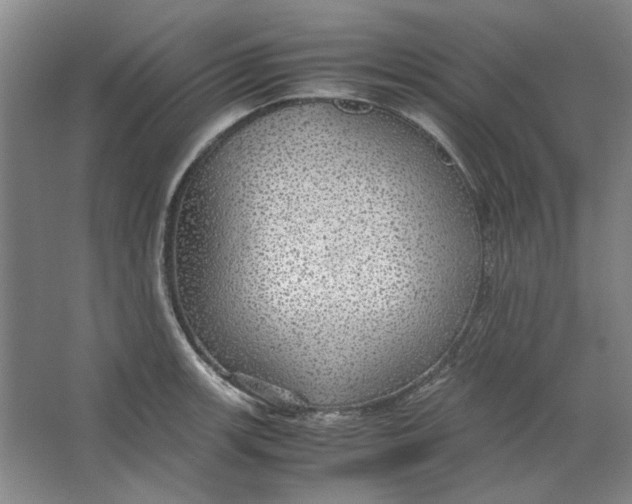 X0000063461139200602101707