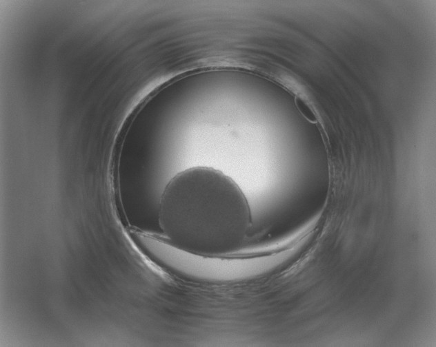 X0000063461141200602101707