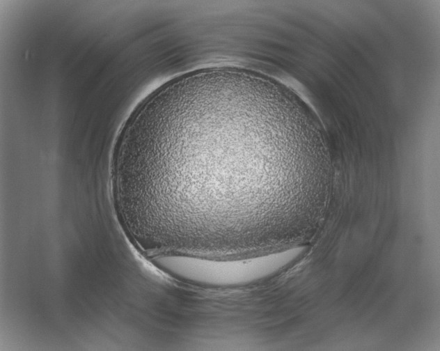 X0000063461143200602101708