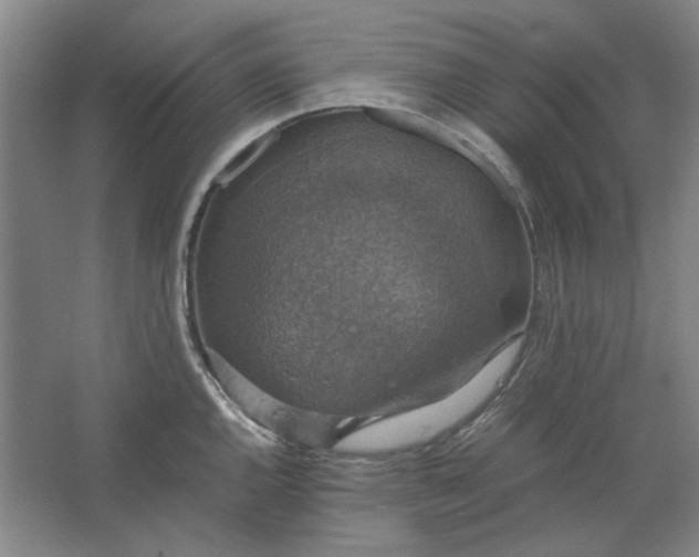 X0000063461144200602101708