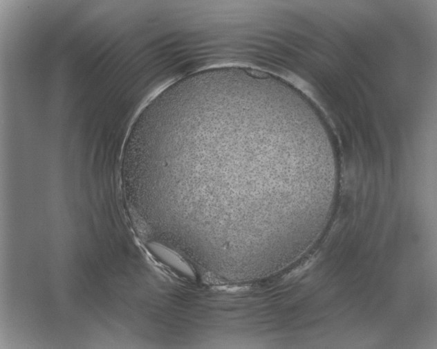 X0000063461145200602101708