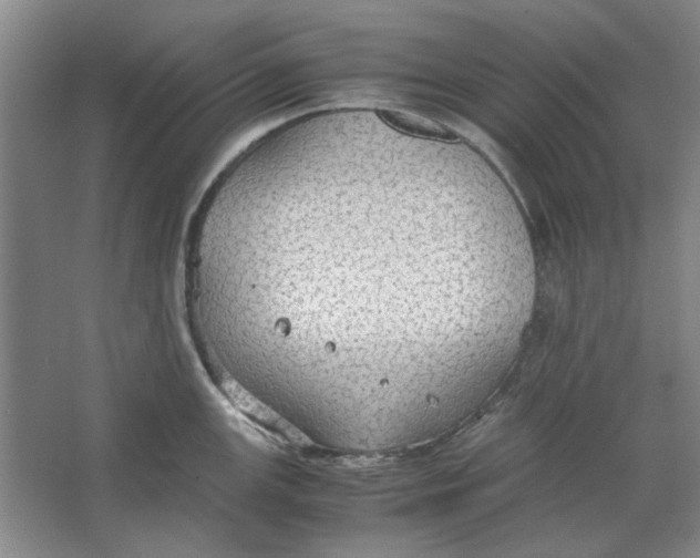 X0000063461147200602101708