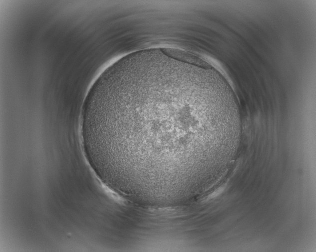 X0000063461149200602101708