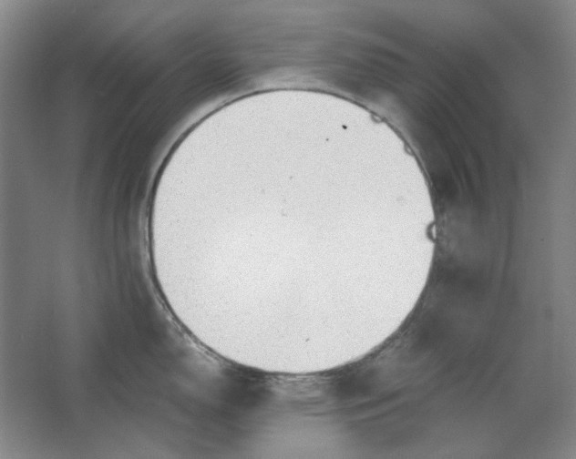 X0000063461150200602101708