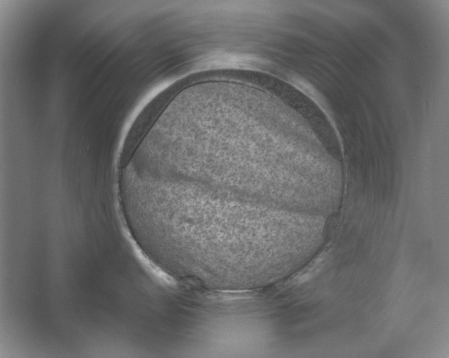 X0000063461152200602101708