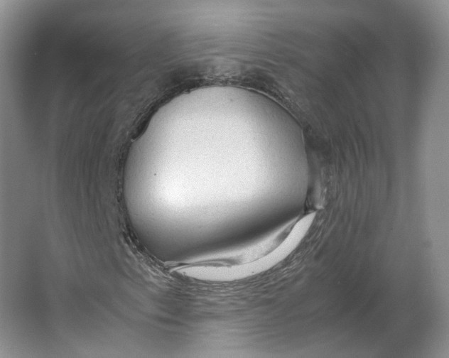 X0000063461153200602101707