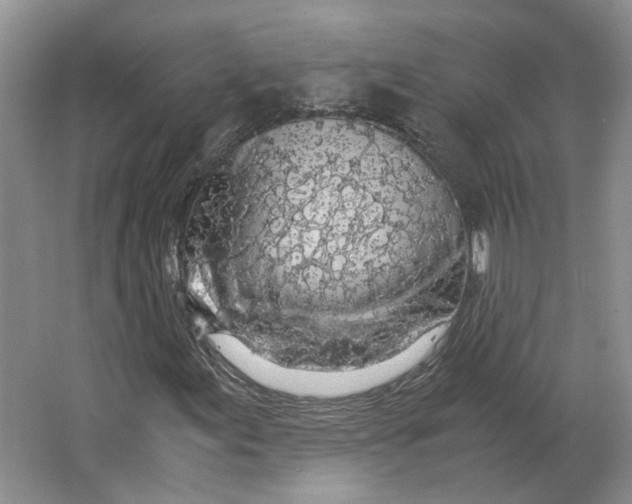 X0000063461155200602101707