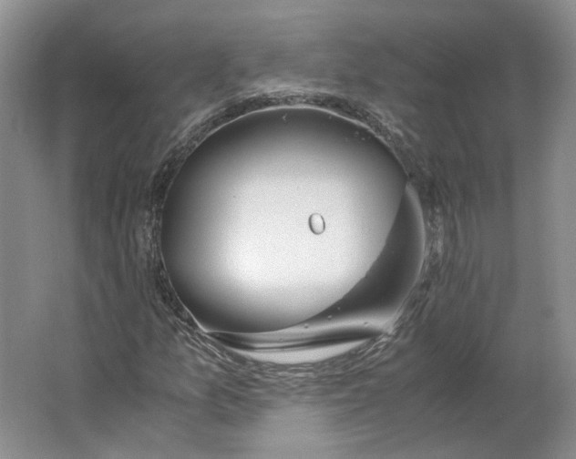 X0000063461157200602101707