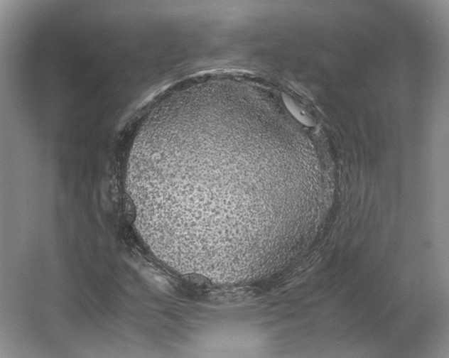 X0000063461159200602101707