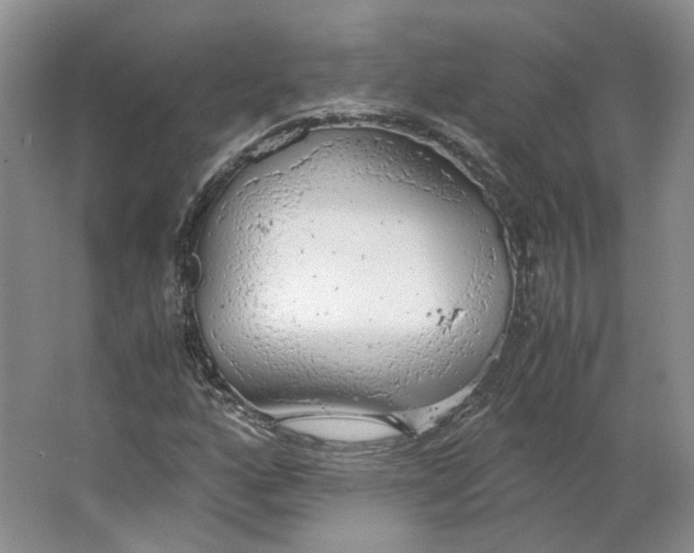 X0000063461160200602101707