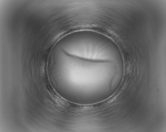 X0000063461161200602101707