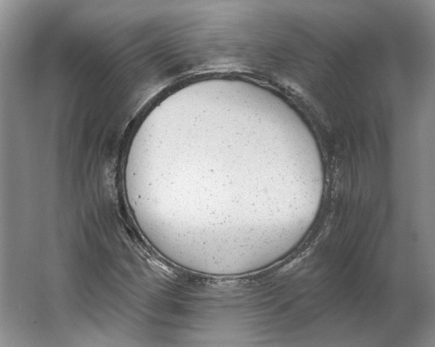 X0000063461162200602101707