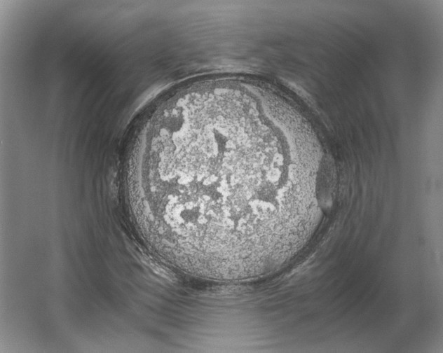 X0000063461163200602101707