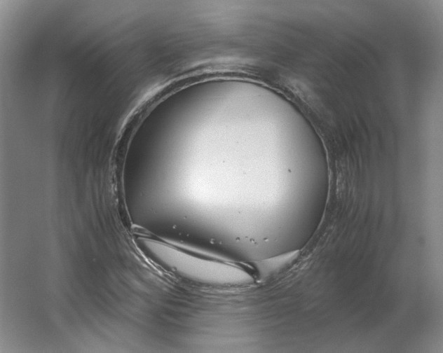 X0000063461164200602101707