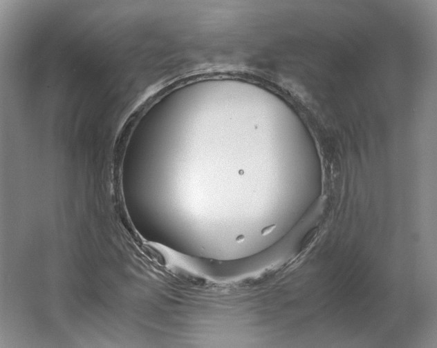 X0000063461165200602101707