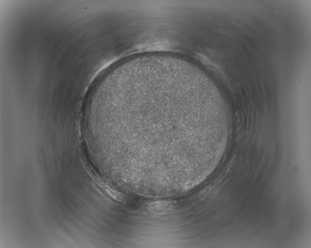 X0000063461166200602101707