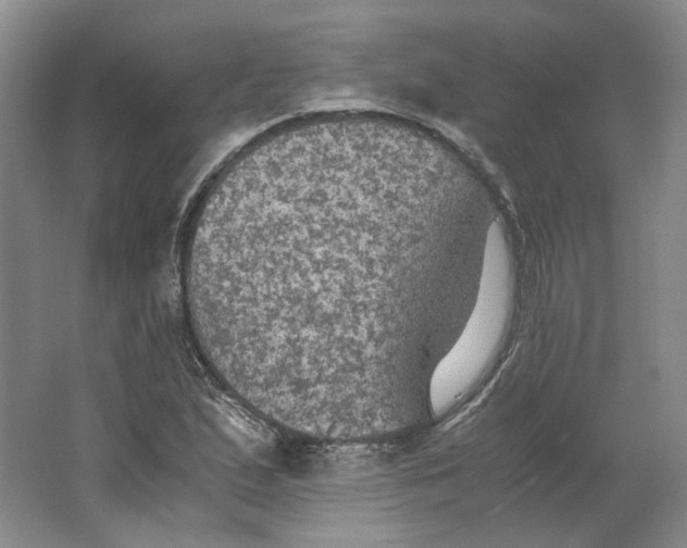 X0000063461167200602101707