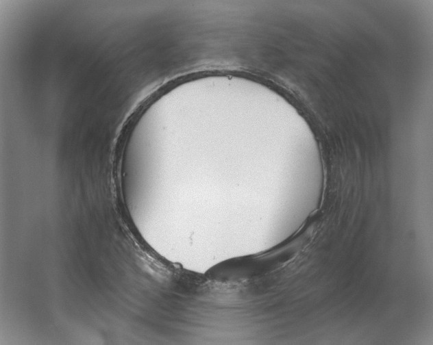 X0000063461168200602101707