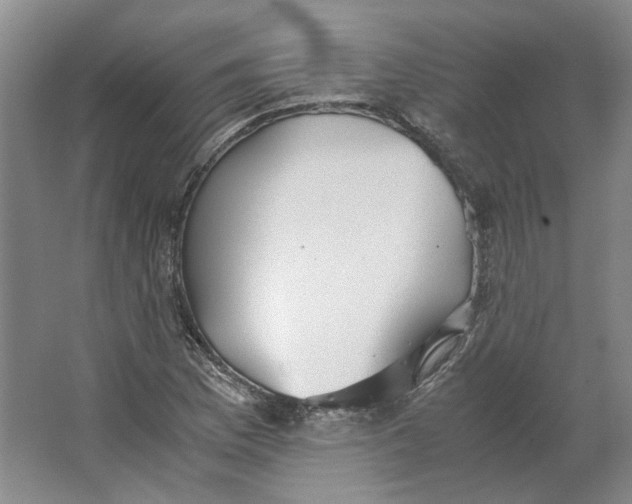 X0000063461169200602101707