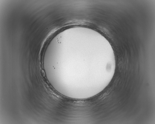 X0000063461172200602101707