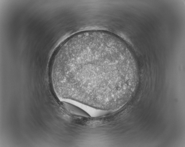 X0000063461173200602101707