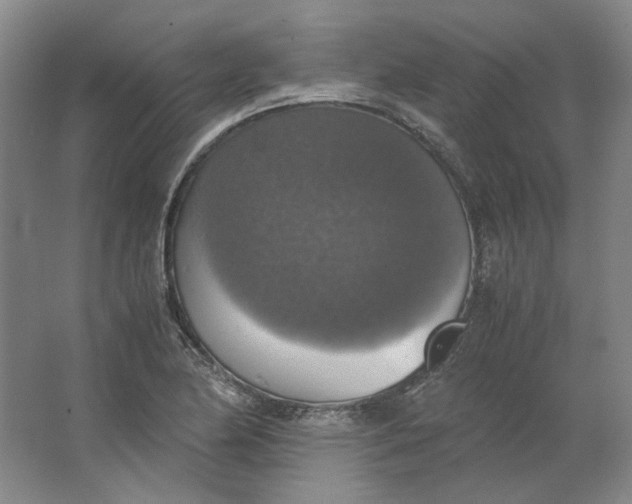 X0000063461174200602101707