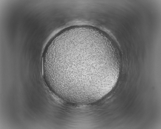 X0000063461175200602101706