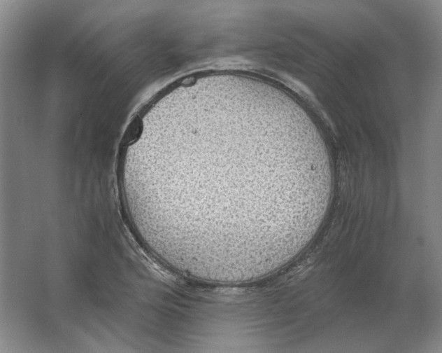 X0000063461176200602101706