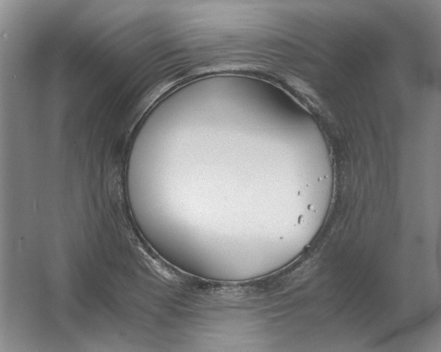 X0000063461177200602101706