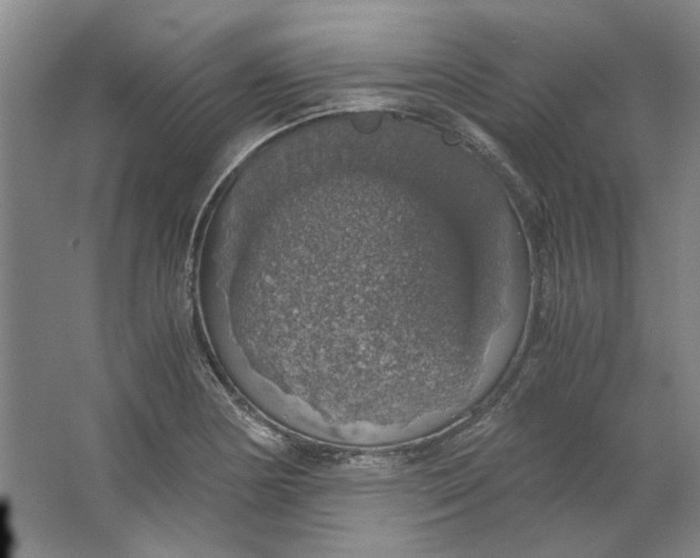 X0000063461178200602101706