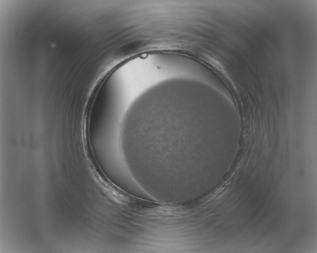 X0000063461179200602101706