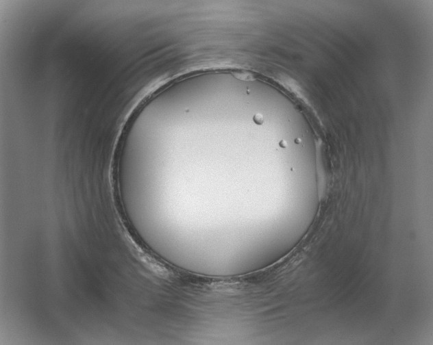 X0000063461181200602101706