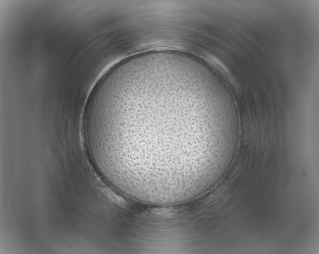 X0000063461182200602101706