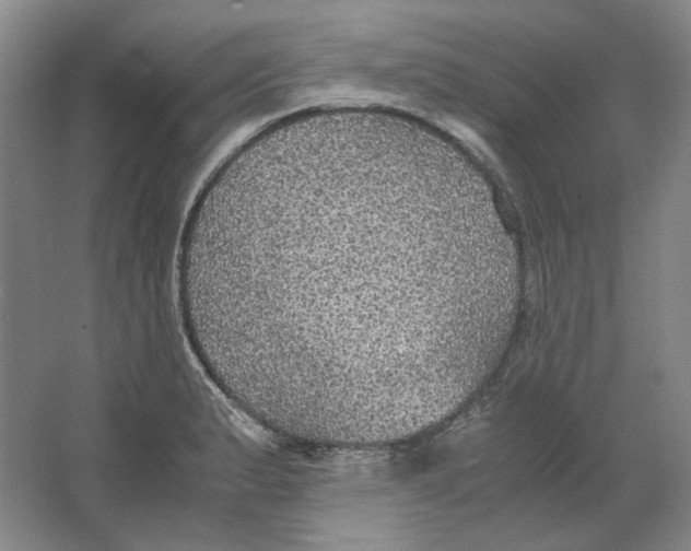 X0000063461183200602101706