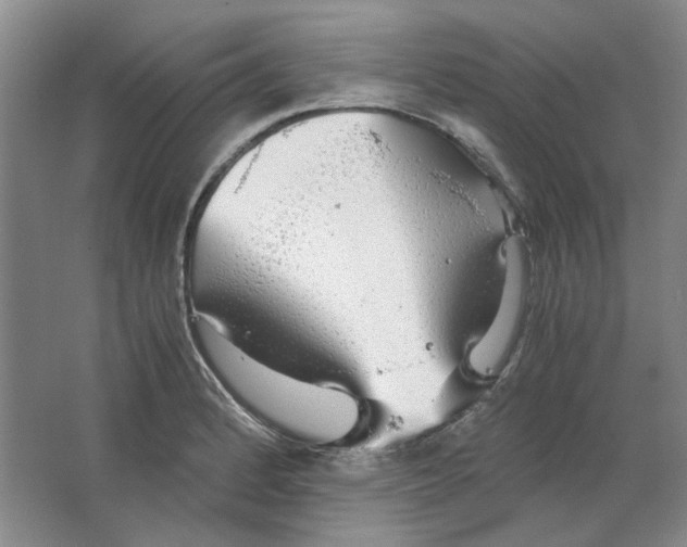 X0000063461184200602101706