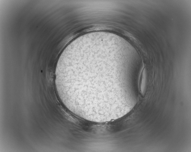 X0000063461185200602101706