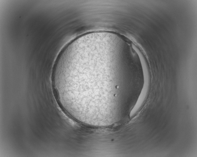 X0000063461189200602101706